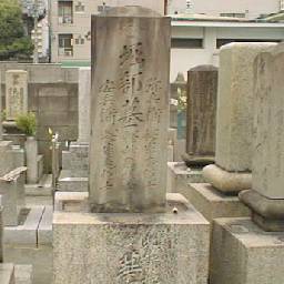 �x���핺�q�E�����q���q��