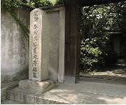 �_���̕悪����~��@