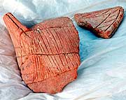 �����̏��ւ̈ꕔ