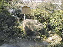須弥寺の古代人崇拝の陽石